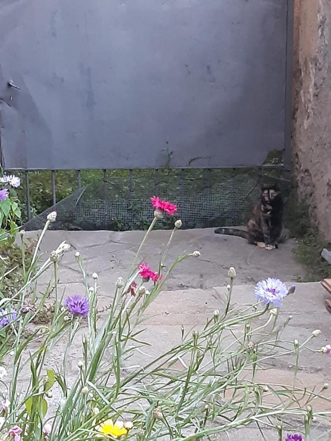 מלון Luserna San Giovanni La Marmotta מראה חיצוני תמונה